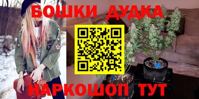 ГАЛЛЮЦИНОГЕННЫЕ ГРИБЫ Кандалакша