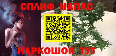 ешки Камышлов