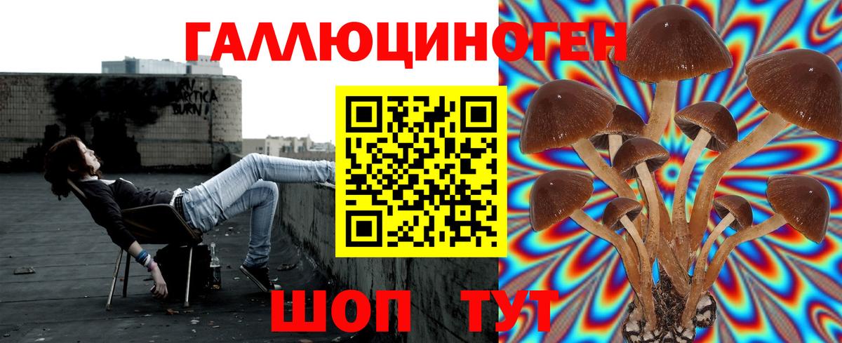 Галлюциногенные грибы Magic Shrooms Каменск-Уральский